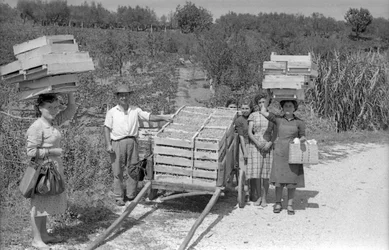 BITTRA DRUVOR - TRANSPORT