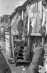 CROTONE - BARN I TRAPPAN,