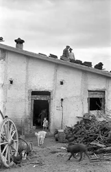 CROTONE COUNTRYSIDE - ETT TAK ÖVER HUVUDET