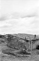 CROTONE COUNTRYSIDE - SKJUL OCH LADUGÅRD,