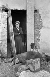 CROTONE COUNTRYSIDE - SKÄMTET MED MURADE HUS,