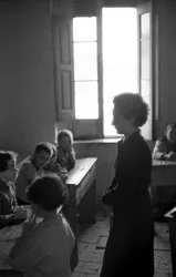 BLANDAD BLANDAD ELEMENT KLASS