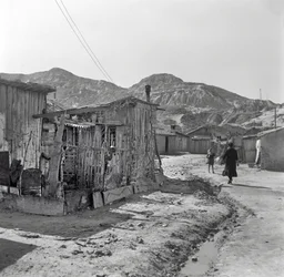 "Shanghaidistriktet", Crotone