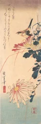 A Wren och krysantemum, ca. 1830., ca. 1830.