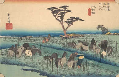 Chiriu, station nr 40, ca. 1834., ca. 1834.