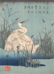 Häger i Iris och gräs, ca. 1837., ca. 1837.