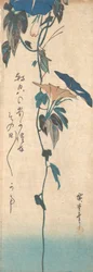 Gräshoppa och Morning-glory Vine, ca. 1835., ca. 1835.