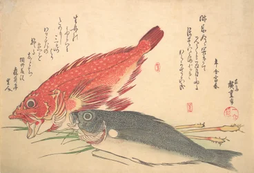 Isaki och Kasago Fish, från serien Uozukushi Every Variety of Fish, 1830-talet, 1830-talet.
