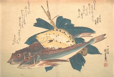 Kanagashira och Karei Fish, från serien Uozukushi Every Variety of Fish, 1830-talet, 1830-talet.