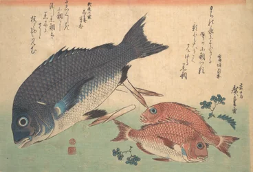Kurodai och Kodai fisk med bambuskott och bär, från serien Uozukushi Every V..., 1830-talet.