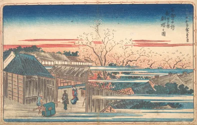 Morgonkörsbär på Yoshiwara.