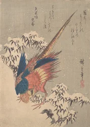 Fasan bland snöladdad bambu på sluttningen, ca. 1840., ca. 1840.