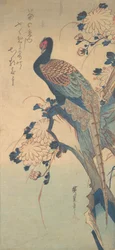 Fasan med krysantemum, ca. 1835., ca. 1835.