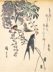 Svala och Wisteria, mitten av 1840-talet, mitten av 1840-talet.