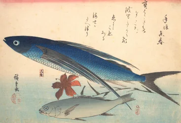 Tobiuo och Ishimochi Fish, från serien Uozukushi Every Variety of Fish, 1840-talet, 1840-talet.