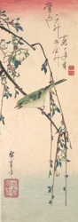 Sångare på plommongren, ca. 1835., ca. 1835.