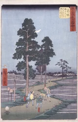 Akasaka (träblock i färg)