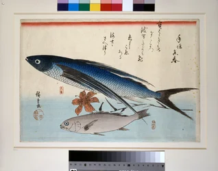 Flygande fisk, ishimochi-fisk och lilja
