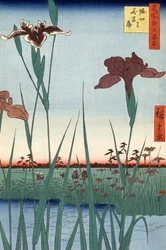Horikiri s is r Den av Hiroshige Utagawa