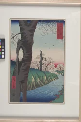 Koganei i Musashi-provinsen (Musashi Koganei) (träblock i färg)