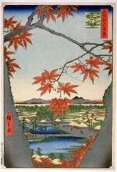 Maples at Mama, från serien "100 Views of Famous Places in Edo" ("Meisho Edo hyakkei"), pub. av Uoya Eikichi