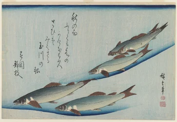 School of Five Sea Trout, Edo Period (träblock i färg på papper)