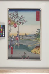 Tehus med utsikt över berget Fuji i Z?shigaya (Z?shigaya Fujimi Chaya) (trätryck i färg)