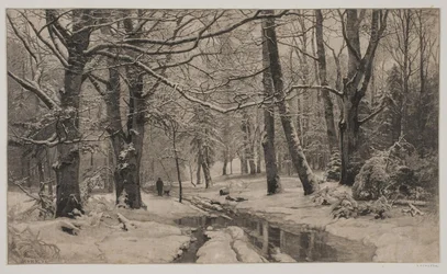 Vinterdag i en skog