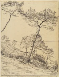 Landskap