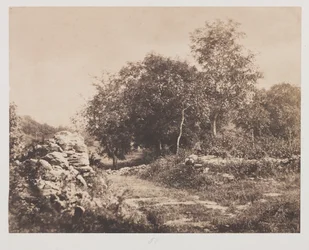 Untitled Scene of Fontainbleau, ca. 1853.