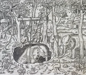 Elefantjakt på ön Java, gravyr från Universal Cosmology, av Andre Thevet (1504-1592), Paris