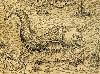 Sjömonster, gravyr från Universal Cosmology, av Andre Thevet (1504-1592), Paris