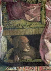 Rubino, favorithunden till markis Ludovico Gonzaga III av Mantua och hans familj, från Camera degli Sposi eller Camera Picta, 1465-74, freskodetalj 78461