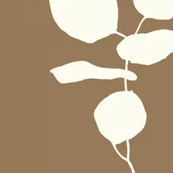 Minimalistiska botaniska former