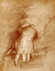 Madonna hand med bok