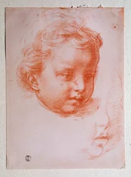 Puttos huvud (ritning