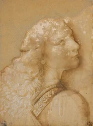 Byst av en ung man, studera för ängeln av "Kristi dop" av Verrocchio, ca. 1475 (metallspets, ockra akvarell och vitt bläck på förberett papper ljus ockra)