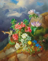 Alpina blommor