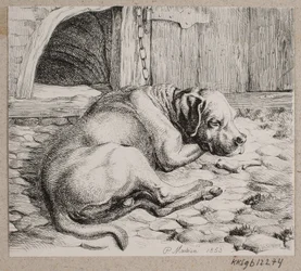 En sovande kedjehund
