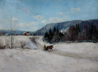 Vinterlandskap vid Skaugum backe