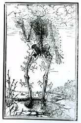 Kroppens kärlsystem