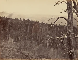Plåt 13. Snö- och timmerlinje, Laramie Mountains,1869 (foto)