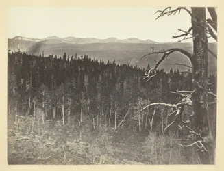 Snö- och timmerlinje, Medicine Bow Mountain