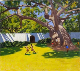 ANTIKA KAMPORTRÄD, VERGELEGEN ESTATE, SYDAFRIKA