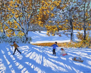 Tidig snö, Allestree Park. 2017,