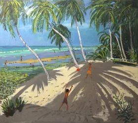 Palmer, Clovelly beach, Barbados, 2013,
