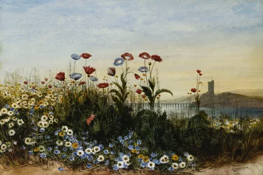 Ferrycarrig Castle, Co. Wexford, Seen Through a Bank of Wild Flowers,