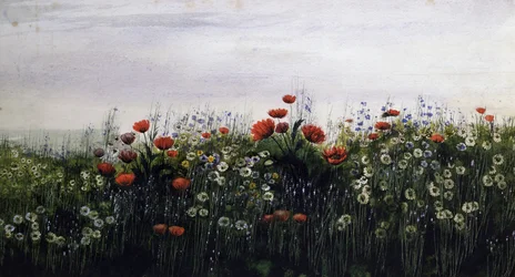 Sommarblommor. Målning av Andrew Nicholl (1804-1886) Privat samling.