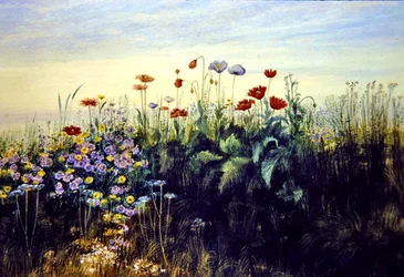 Vilda blommor (akvarell på papper)