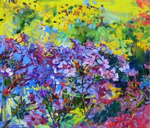 Färgglad blomsterträdgård